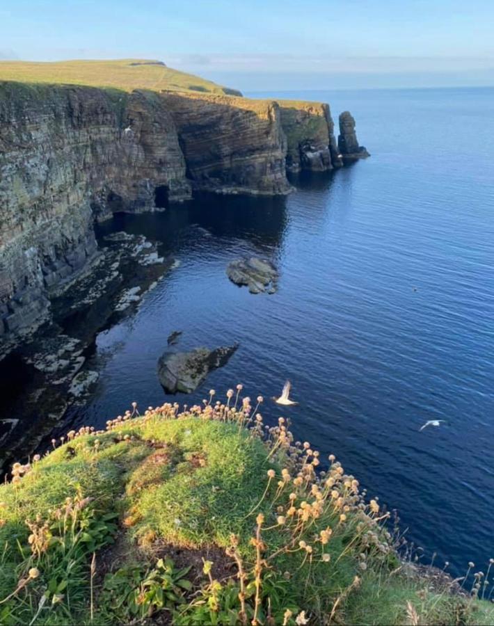 Peedie Cott Self-Catering, Orkney Saint Margarets Hope Экстерьер фото